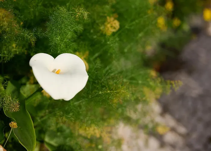 Casas Maravilha - Casa Grande By Homie Casa vacanze